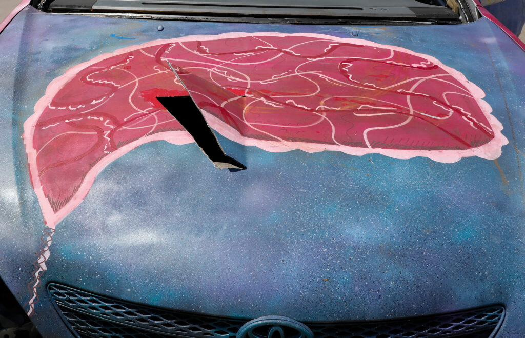 WorkingWorking Group, a collaboration with Allison Rowe, Just Crushing: A Political Demolition Derby, 2022-2025. Mental Health.