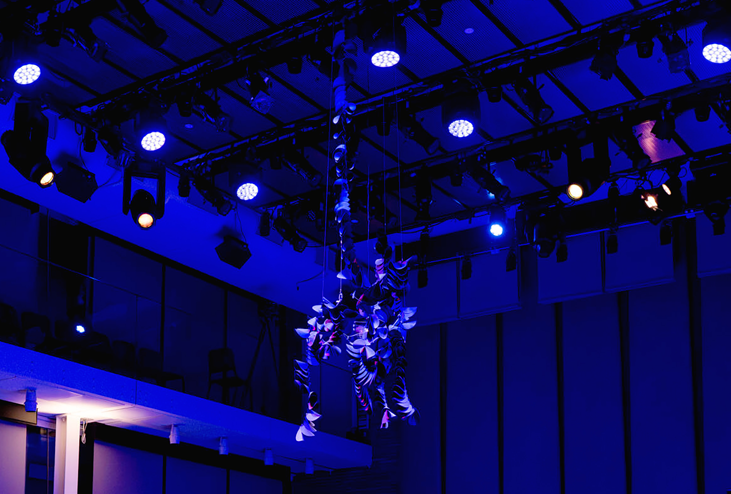 Karina Sharif's one black lily luminescent light. Photo by Billy Chen.