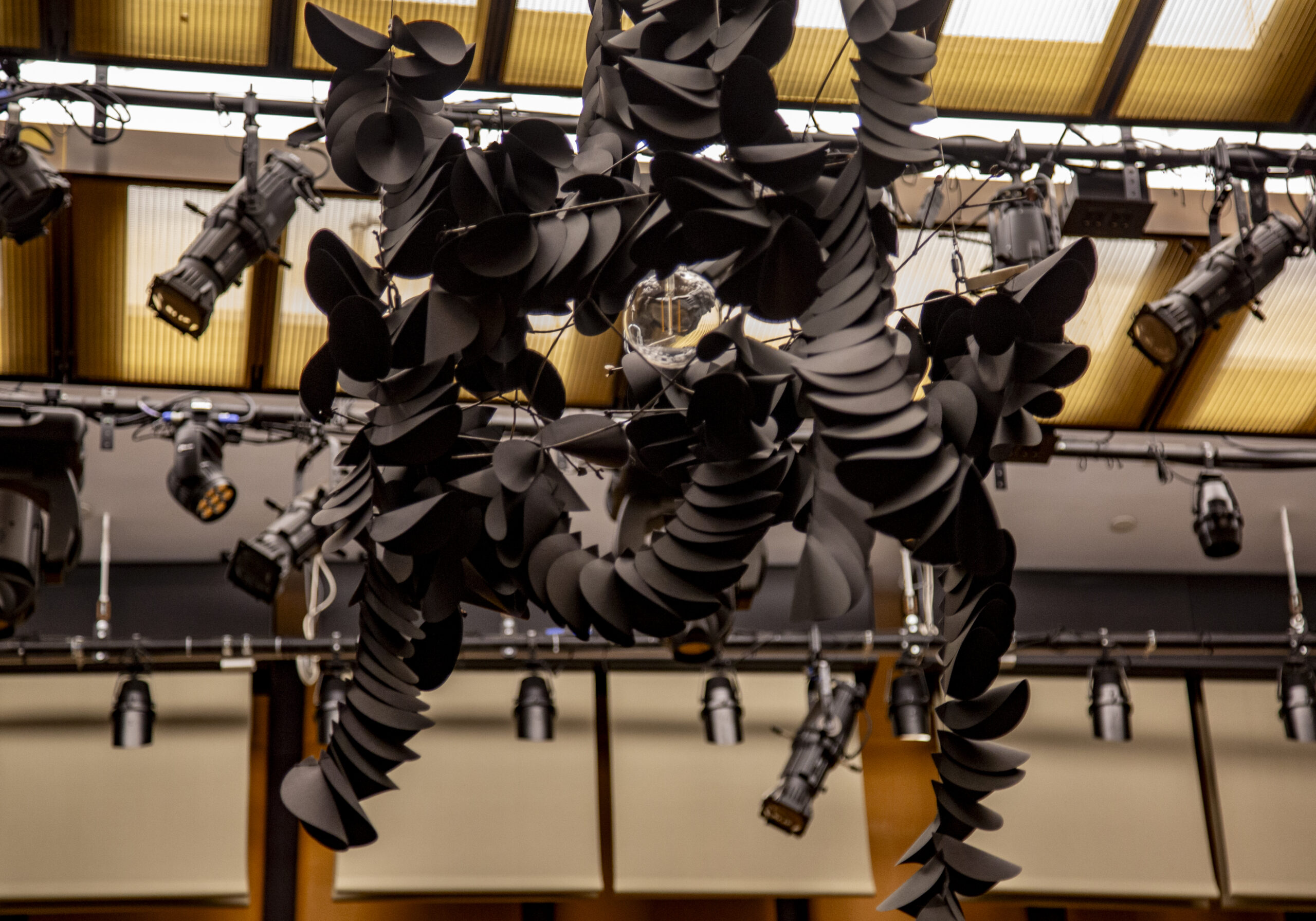Karina Sharif's one full black lily luminescent. Photo: Billy Chen, courtesy of Arts Letters & Numbers, Averill Park, NY.