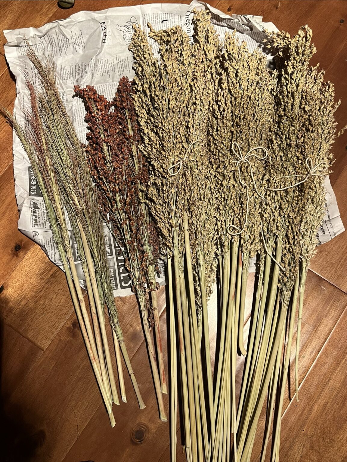 sorghum grown by ameia smith at botánika oya in collaboration with Flore Costumé at The School for Inclement Weather.